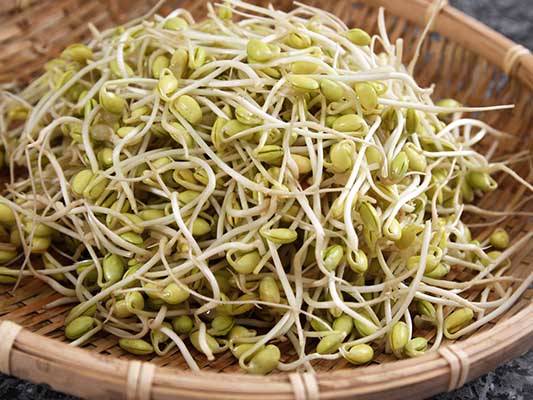 Sprouts